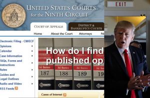 (L-R) A screenshot of the US Court of Appeals for the Ninth Circuit website and US President Donald J Trump. Photo: UNI