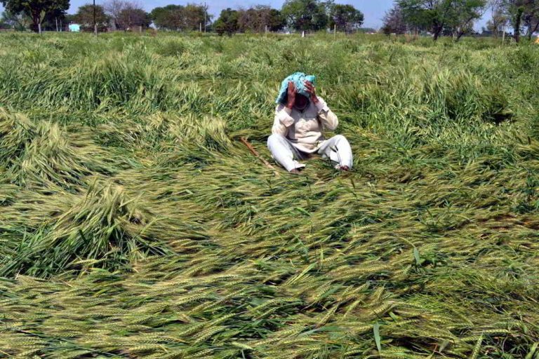 Supreme court widens scope on farmer loan repayment issue