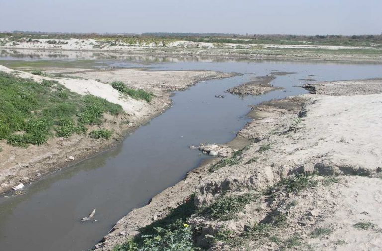 Ganga case: NGT expresses shock at municipal officials’ ignorance of ground realities