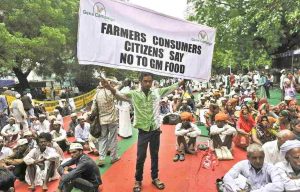 Monsanto has come in for criticism in India for monopolising seed distribution and for disrupting traditional agricultural practices. Photo: Greenpeaceindia