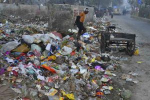 A garbage dump in New Delhi. Photo: Anil Shakya
