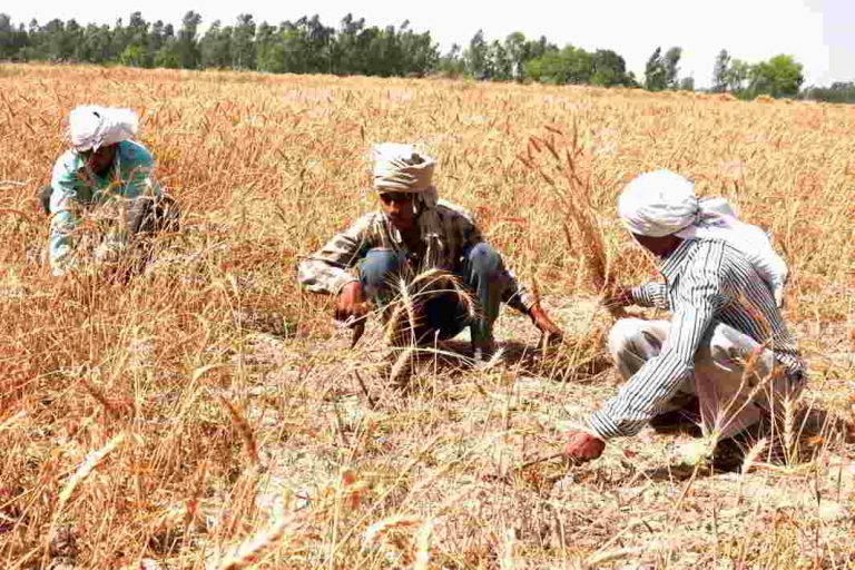 Farmer loan waiver: New insurance and loan schemes revealed by ASG