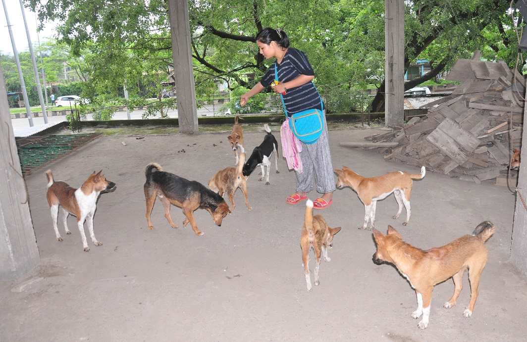 Bill in Parliament advocates huge punitive measures for animal cruelty -  India Legal