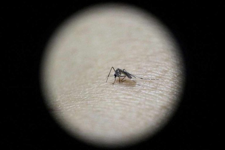 Allahabad HC directs Rs. 25L compensation to family for dengue-death of advocate