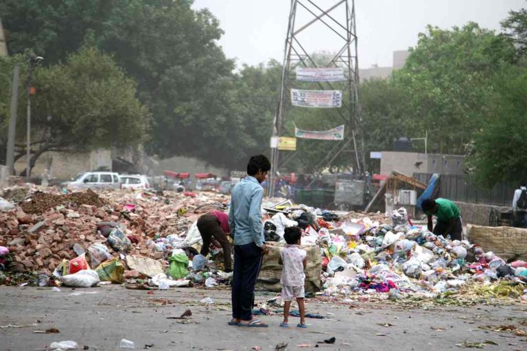 NGT issues show-cause notice on EDMC, PWD on scattered garbage