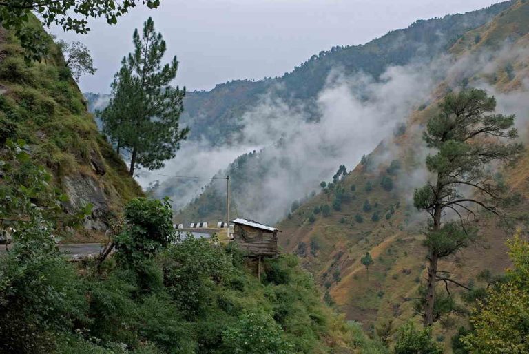 Illegal construction: 3 Kasauli hotels punished by NGT