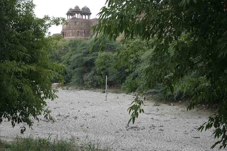 NGT says ASI official responsible for Purana Qila lake