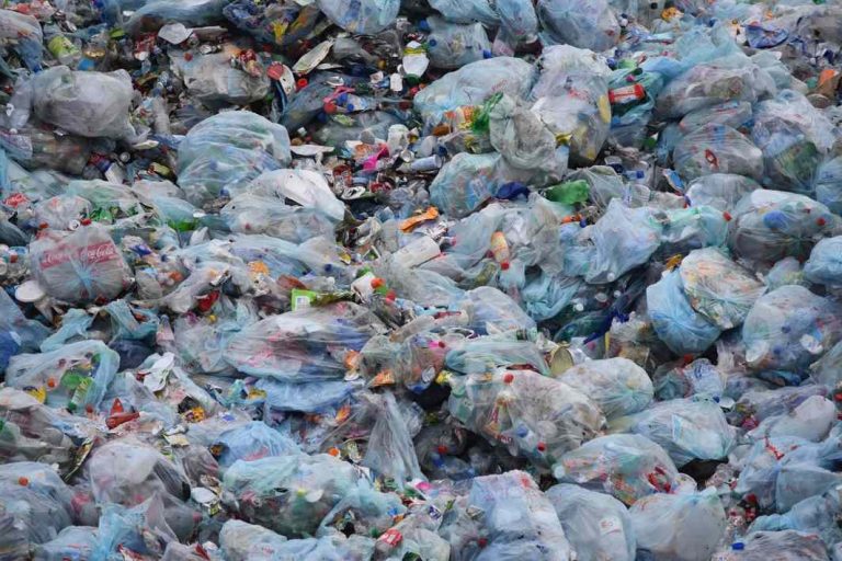 NGT bans manufacture and storage of polybags in New Delhi