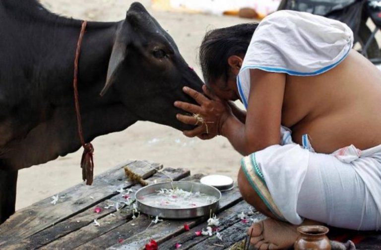 PIL against gau rakshaks: Only 5 states have filed reports