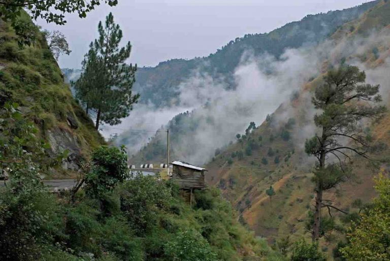 Illegal construction in Kasauli: NGT issues bailable warrants against absentee hotels