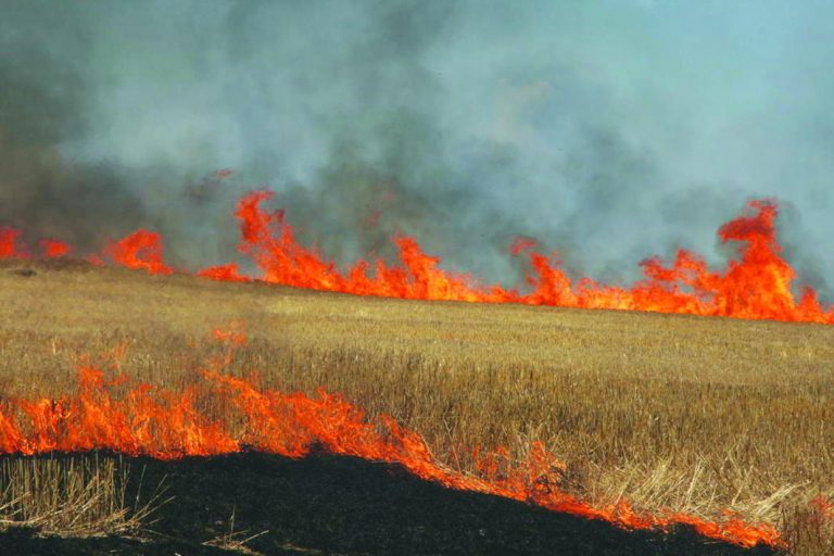 Stubble Burning: A Burning Issue