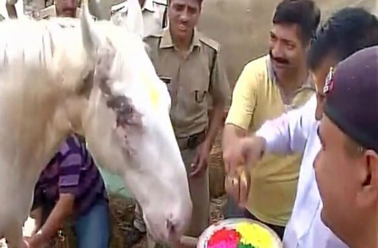 Killing of police horse Shaktiman: Now state BJP Govt wants case against MLA withdrawn