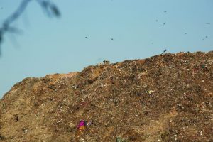 Garbage piled up at Okhla landfill in Delhi. Photo: Anil Shakya