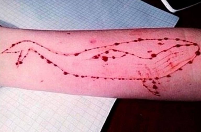 SC: It is govt’s responsibility to ensure eradication of Blue Whale game