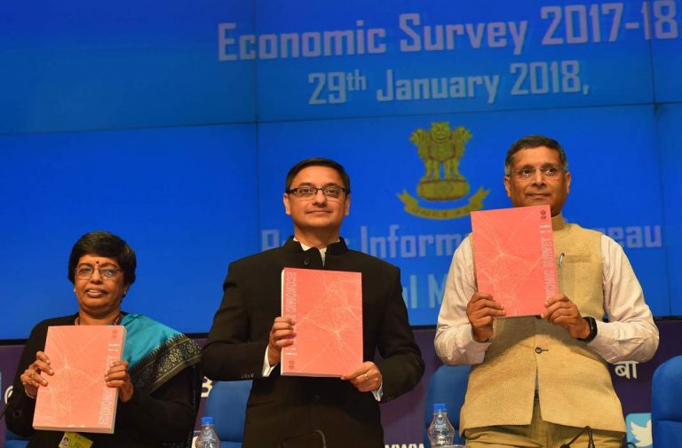 Economic Survey seems to have its head in the sand under storm clouds