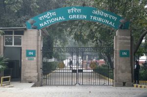 Poultry farm to stay shut, NGT says sell of birds