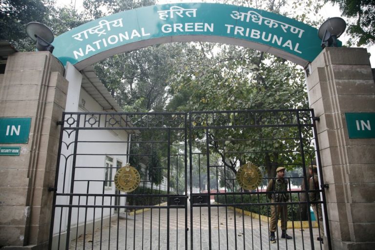 Mere issuing a show cause notice is not the end without prompt action: NGT