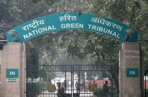 NGT seeks status report from UP on Illegal slaughterhouses in Bulandshahr 