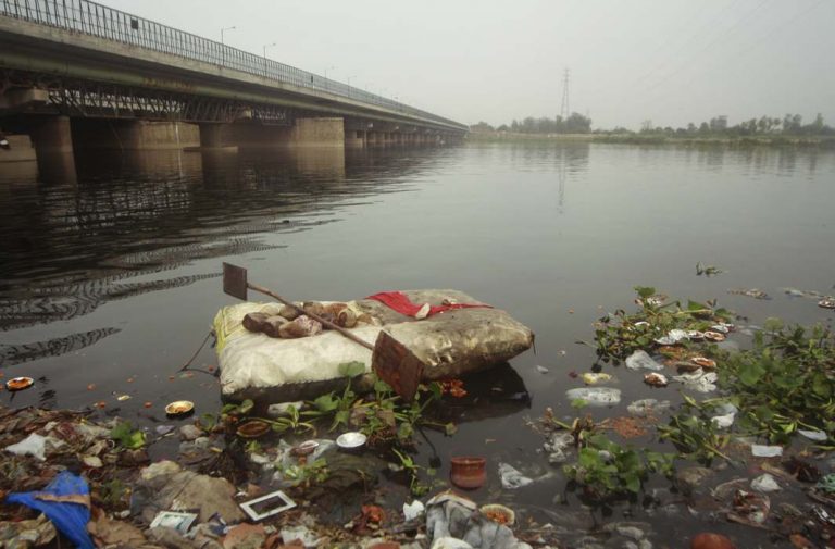 Delhi Jal Board to NGT: Part of Yamuna has dried up, because Haryana has turned off tap