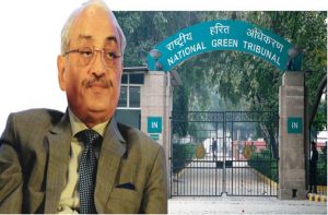 National Green Tribunal reels under severe staff crunch
