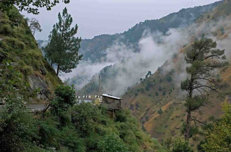 NGT observes ‘parking’ facility in Kasauli hotels should be seriously looked into