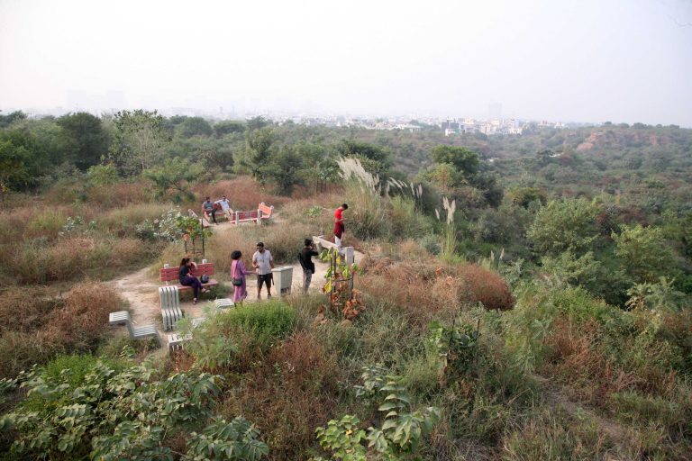 Aravali Biodiversity Park: Paradise Lost?