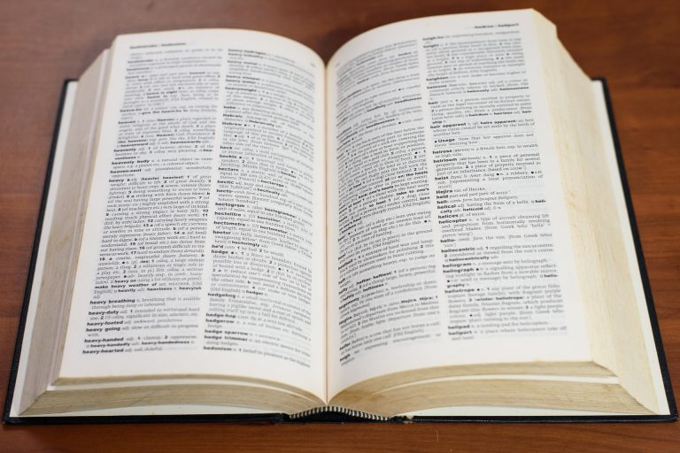 The New Dictionary