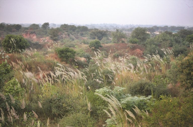 Punjab Land Preservation Act: Green Stays My Valley