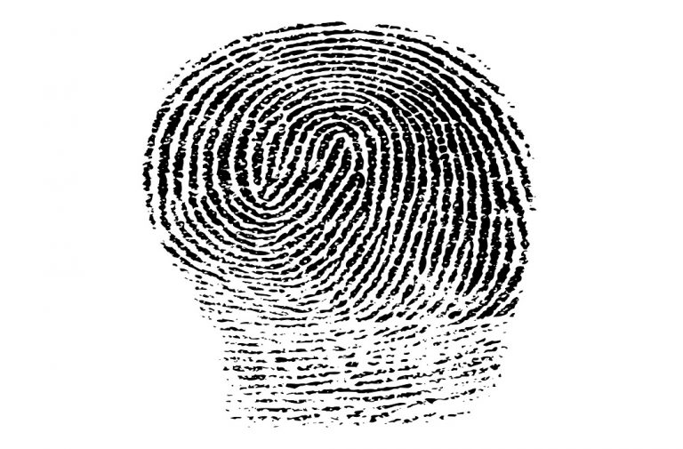 First brain fingerprinting system in Delhi will be operational soon: Delhi govt to Delhi HC
