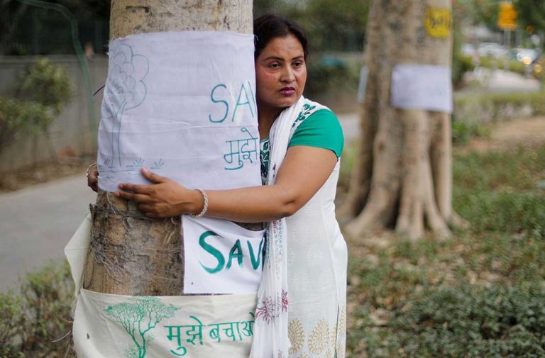 Delhi High Court Adjourns PIL Against Tree Felling to July