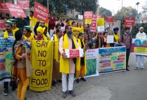 Activists and farmers holding a protest against GM foods in New Delhi in 2016/Photo: seedfreedom.info