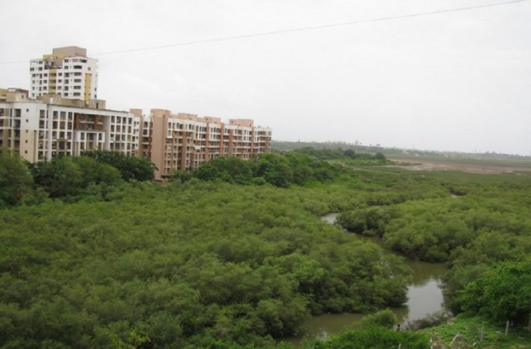 Bullet Train Project: Save Our Mangroves