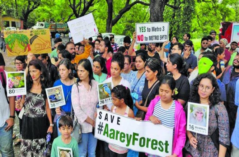 SC extends stay on the felling of trees in Aarey forest