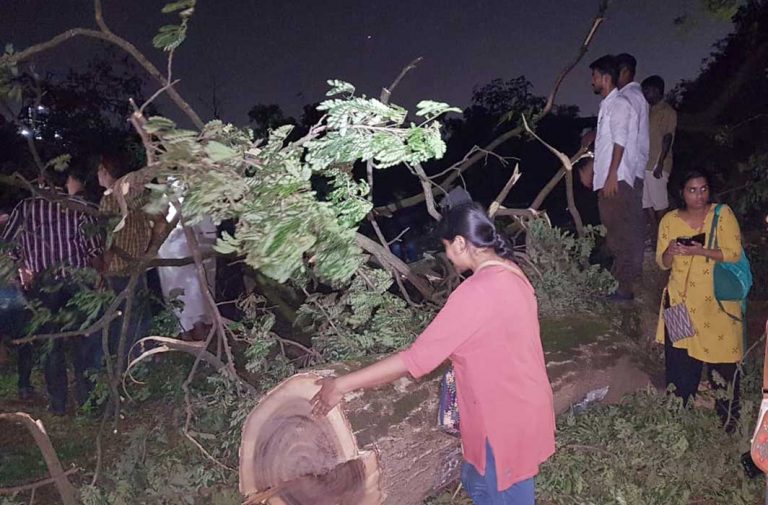 Supreme Court Orders No More Trees Be Cut At Aarey, Maintain Status Quo Till Next Hearing On Oct 21