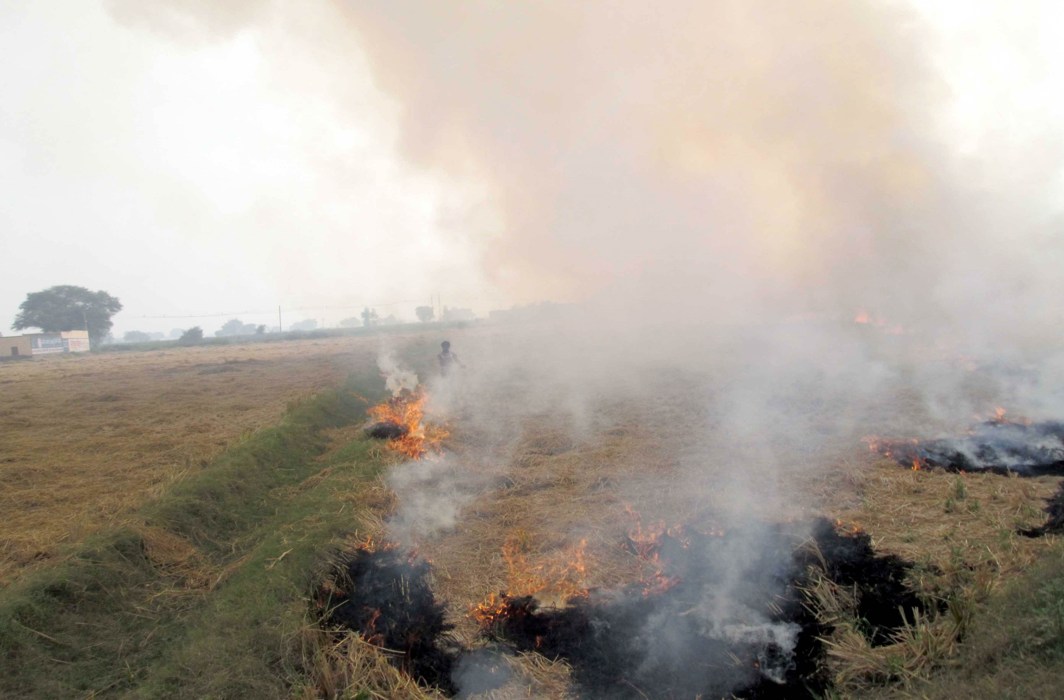 A paddy field on fire along the Sirsa-Delhi highway/Photo: UNI