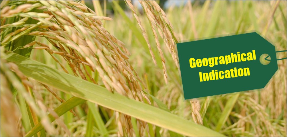 Geographical Indication for Basmati rice