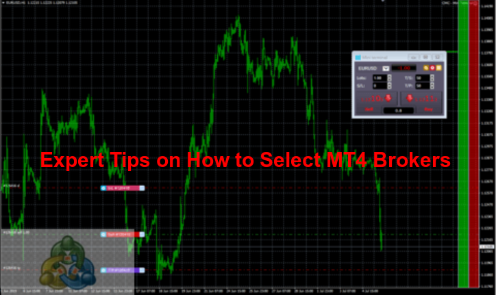 Expert Tips on How to Select MT4 Brokers