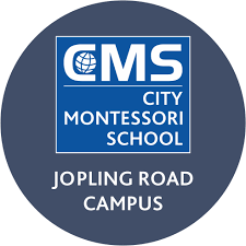 City Montessori School