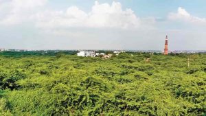 Delhi-ridge-Adarsh-min-300x169.jpg