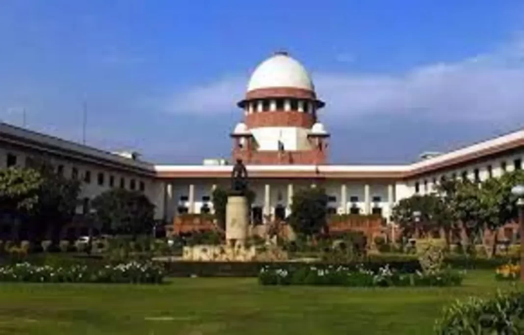 Supreme Court dismisses plea challenging new criminal laws
