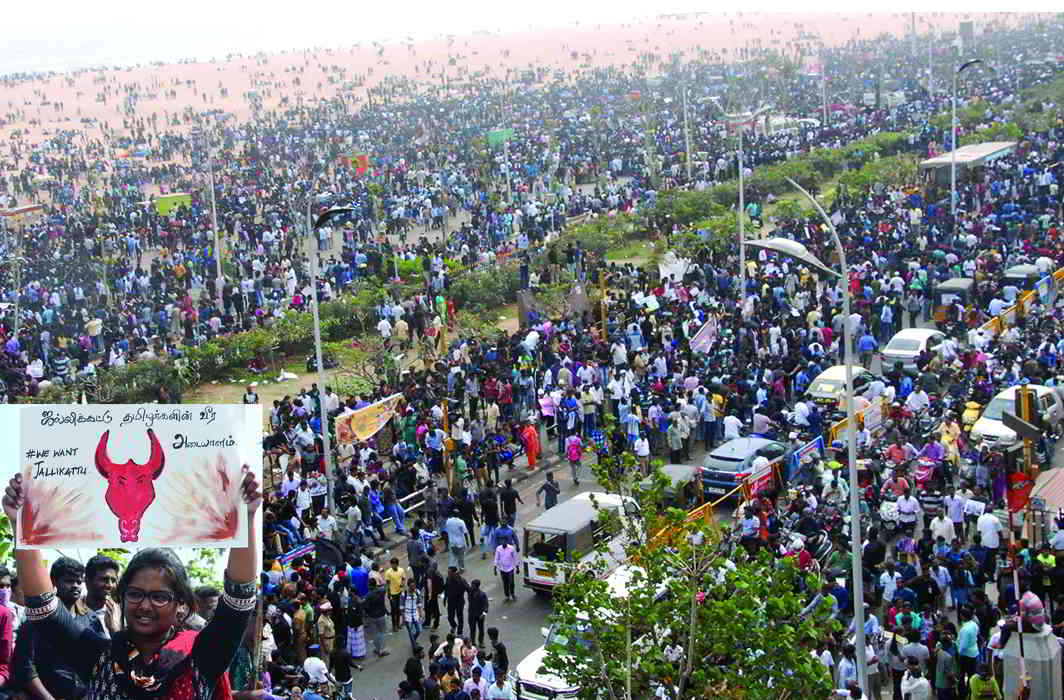 Protestors at Marina Beach, Chennai, demanding that the ban on jallikattu be lifted. Photos: UNI