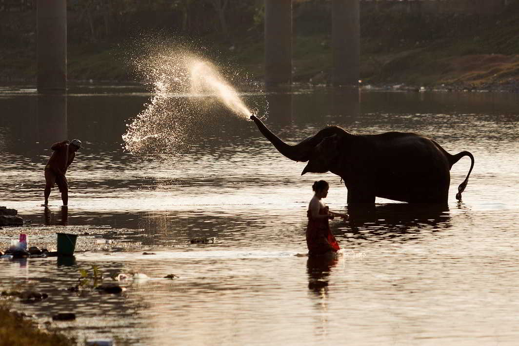 JUMBO LOVE: A mahout baths his pet before taking part in the Elephant Festival, in Sayaboury province, Laos, Reuters/UNI