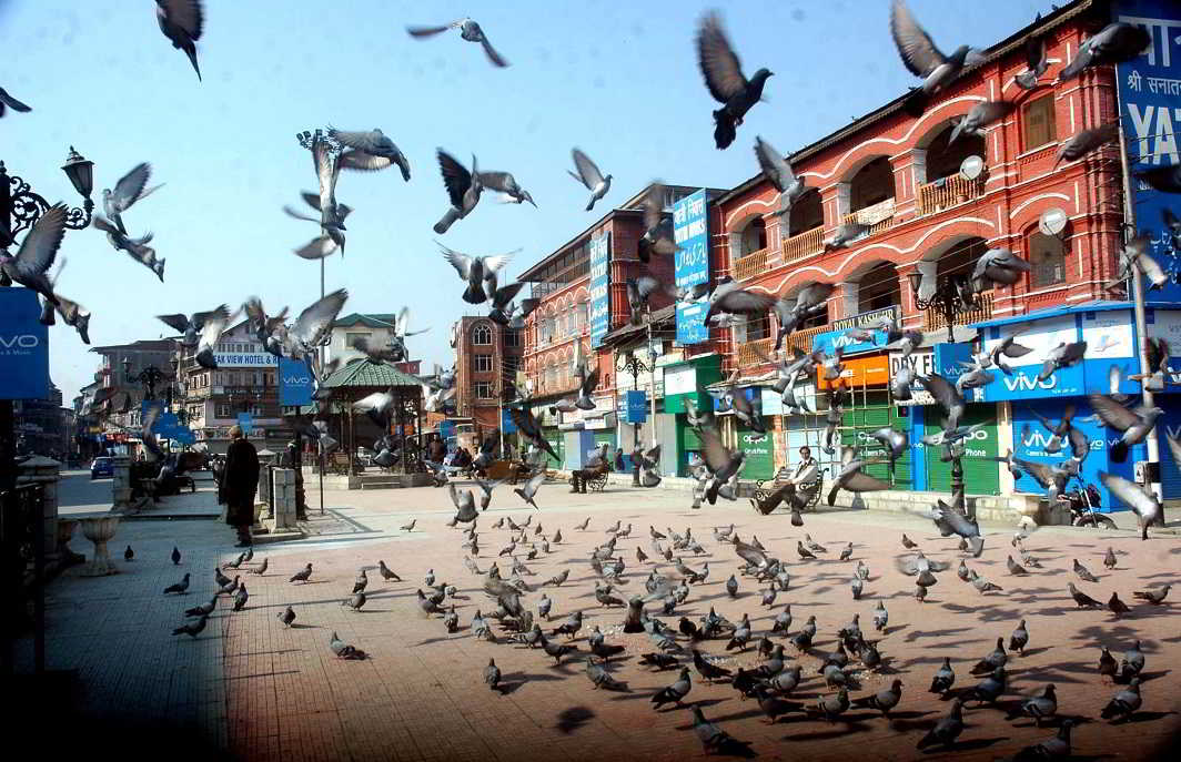 SILENCE THEY SAID: Pigeons flock Lal Chowk, the main business hub in Srinagar, where shops and business establishments are closed as separatist organizations have called for a general strike in the Kashmir valley to protest against the death of civilians in yesterday’s Kulgam encounter between militants and security forces, UNI