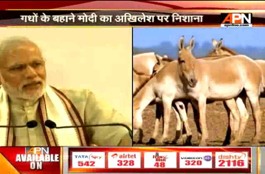 New low in political debate, PM Modi responds to CM Akhilesh's donkey remark