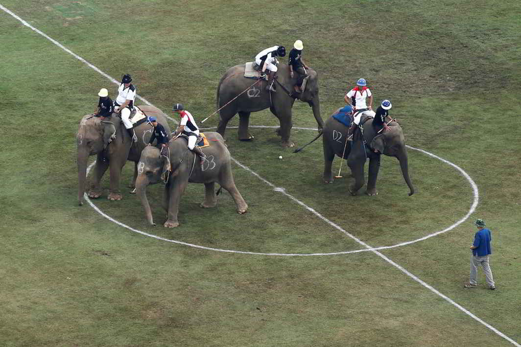 JUMBO GAMES: Players take part in a match during the annual King's Cup Elephant Polo Tournament at a riverside resort in Bangkok, Thailand, Reuters/UNI