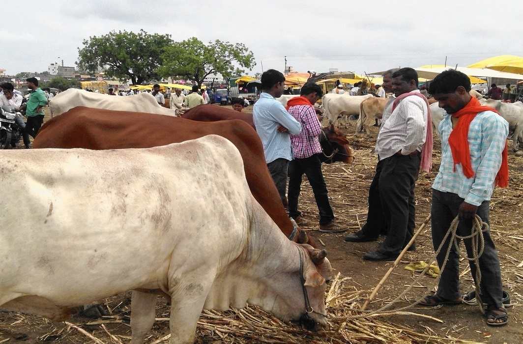 Centre bans sale of cattle for slaughter at animal markets