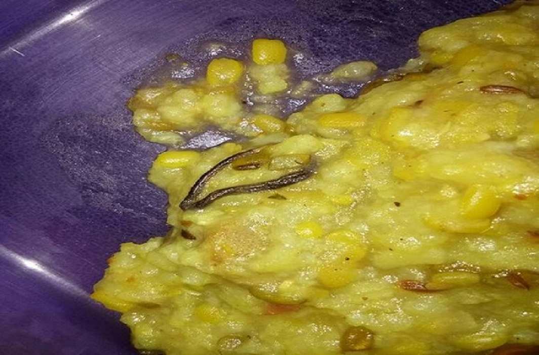 Baby snake found in mid-day meal of a school in Faridabad