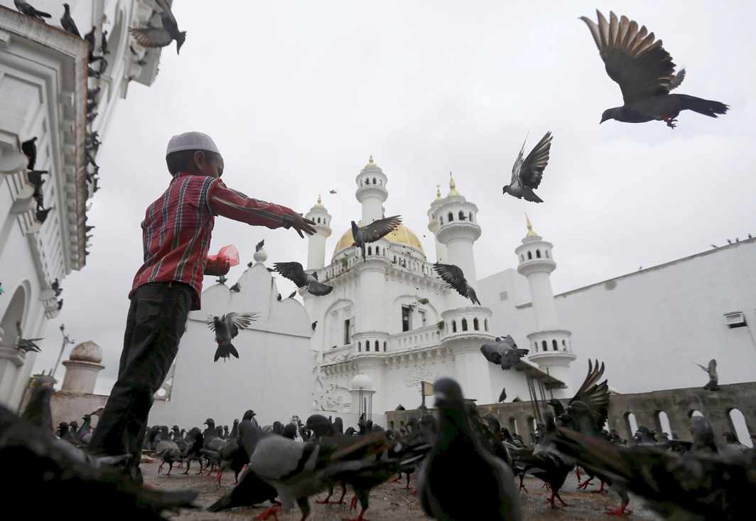 DAILY ZAKAT: A Muslim boy feeds pigeons after Friday prayers during the holy month of Ramzan at a mosque in Colombo, Sri Lanka, UNI