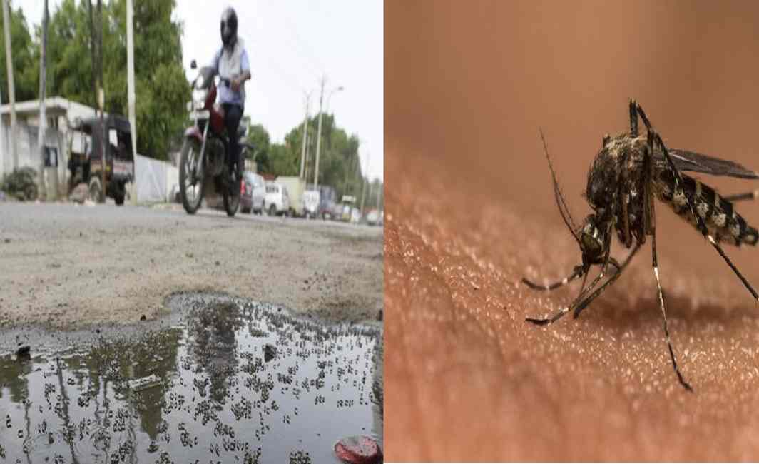 Delhi sees sharp rise in malaria, chikungunya cases