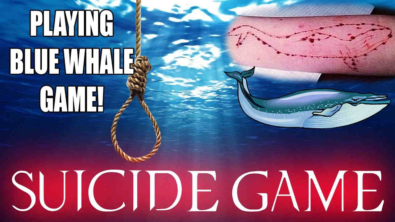 Delhi HC allows PIL to ban blue whale